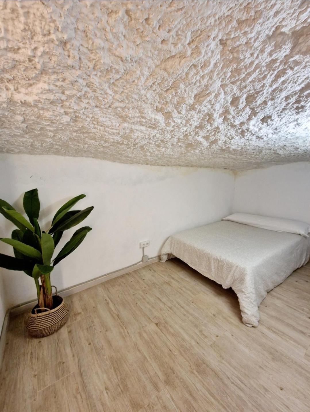 Preciosa Casa-cueva Con Banera Apartment